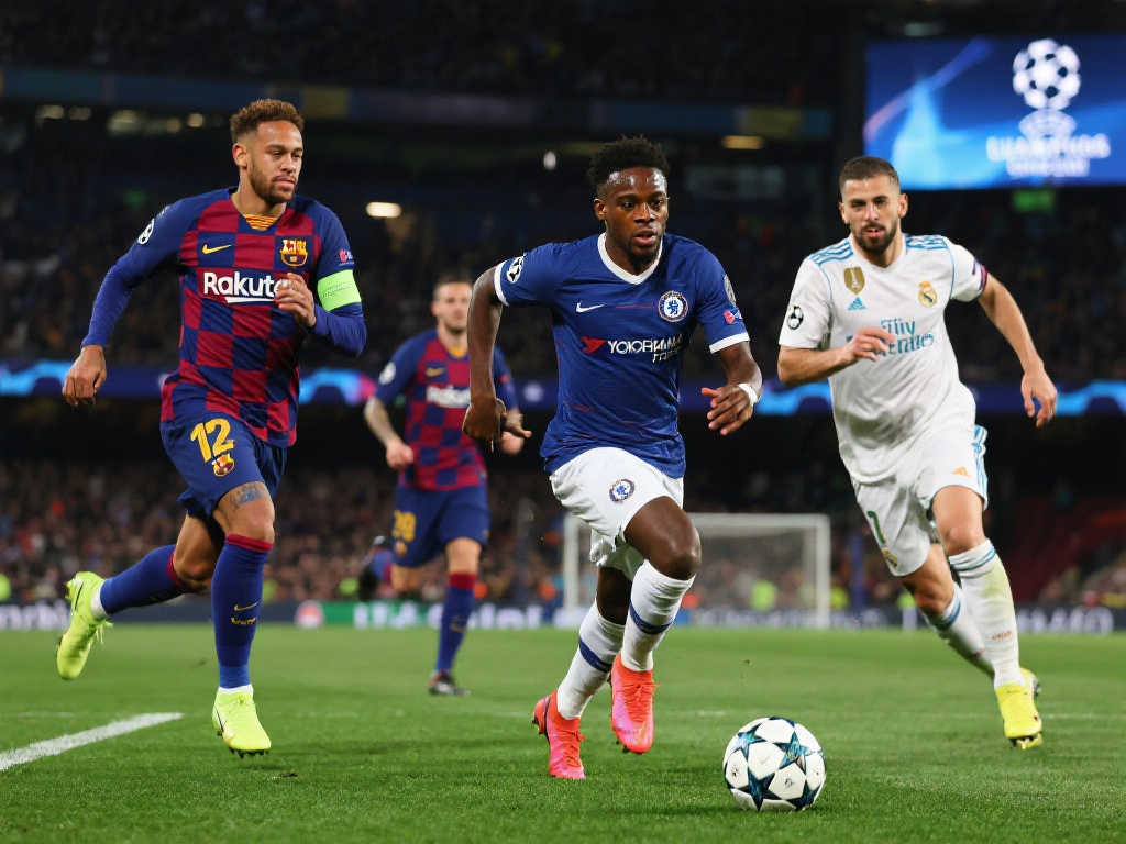 及卓越的籃 及卓越的籃